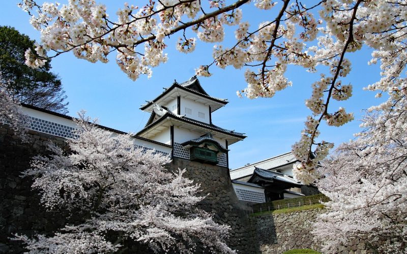 Kanazawa Castle with its white walls and lead-tiled roofs