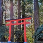 Hakone Shrine grounds surrounded by forest near Lake Ashi