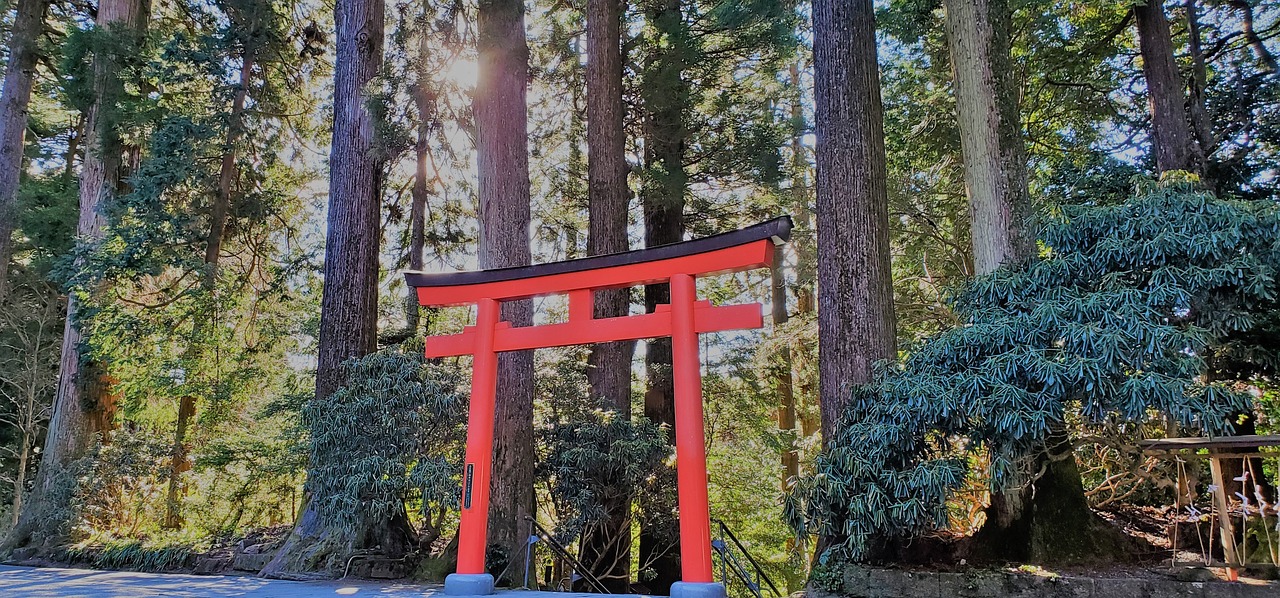 Hakone Shrine grounds surrounded by forest near Lake Ashi
