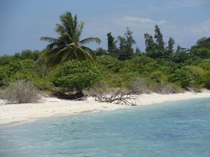 Koh Samui beach near Chaweng, Thailand