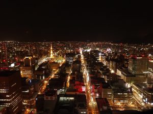 Night view over the city lights of Sapporo, Hokkaido