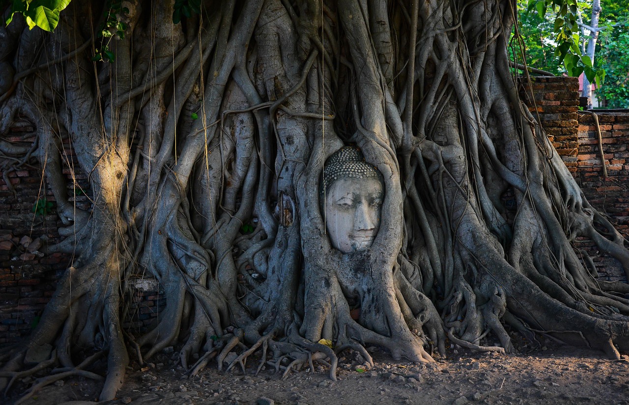 Buddha statue at sunset in Sukhothai, Thailand