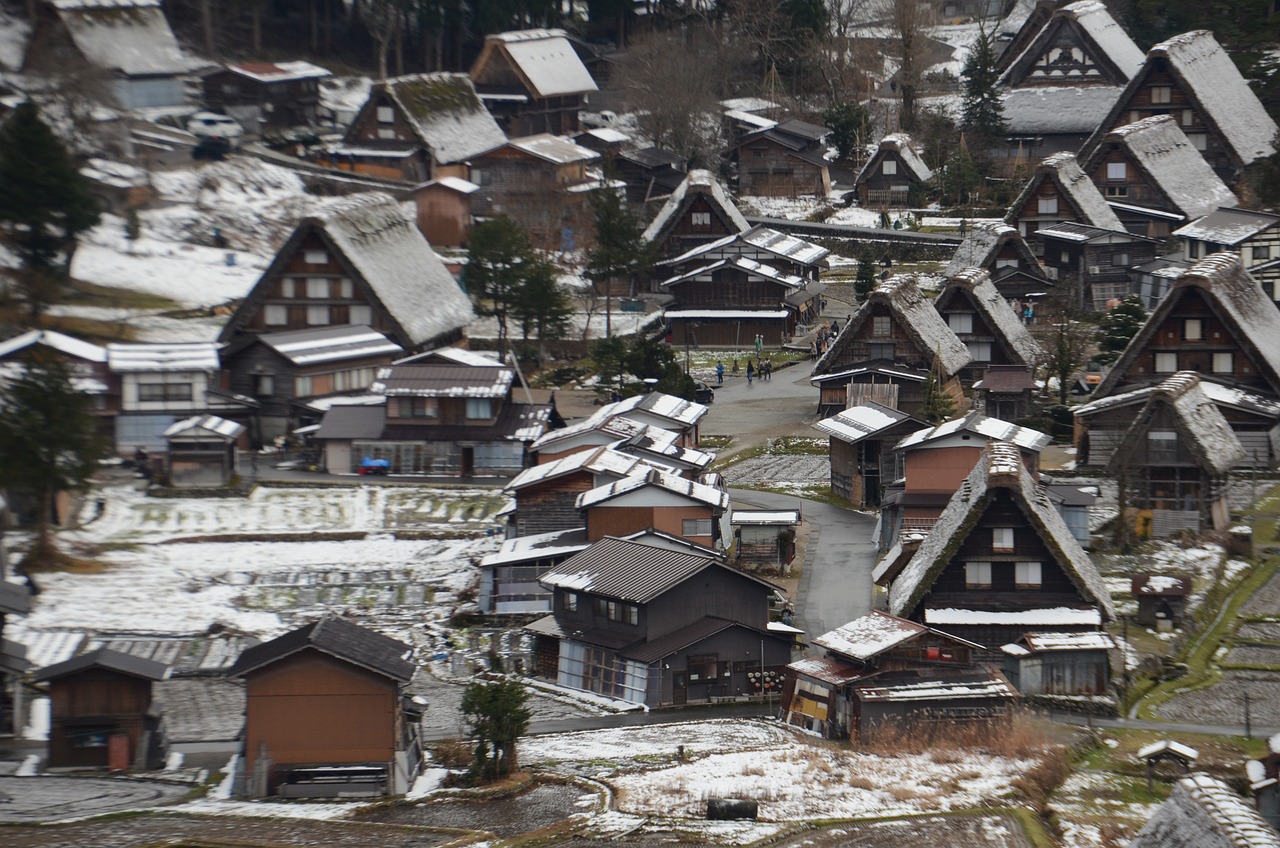 Thatched gassho-zukuri farmhouses in the village of Shirakawa-go