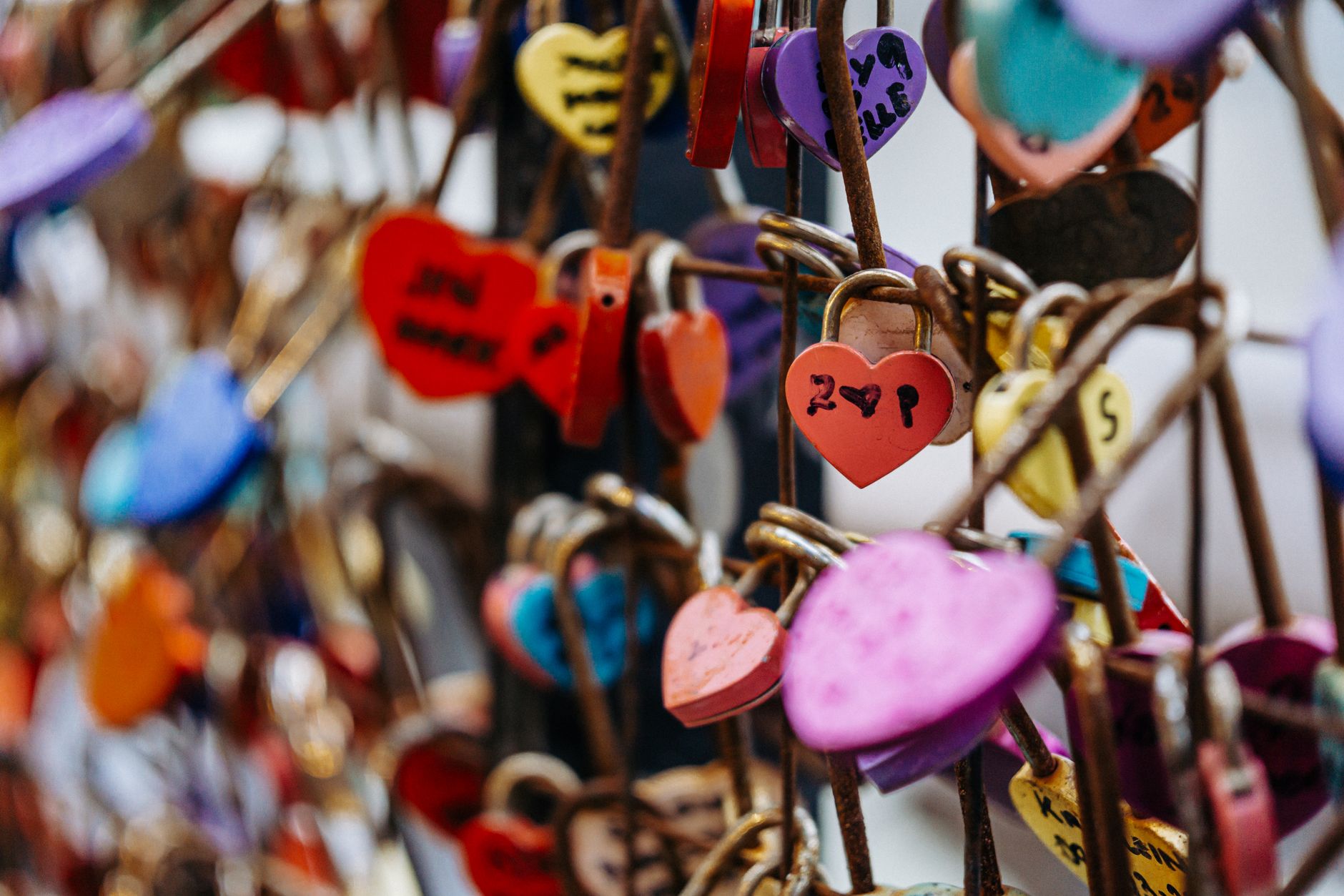 A Bridge of Hearts from Lahore to Prizen