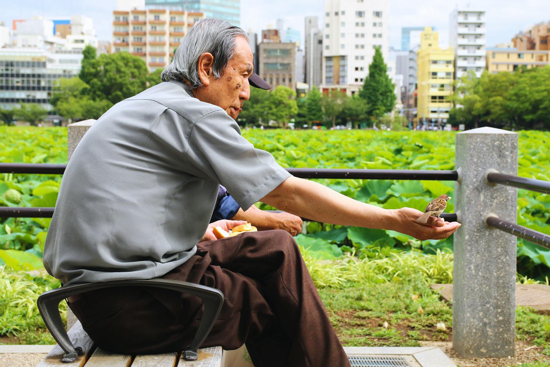 Adrasan Otellleri Pensions Contact Information