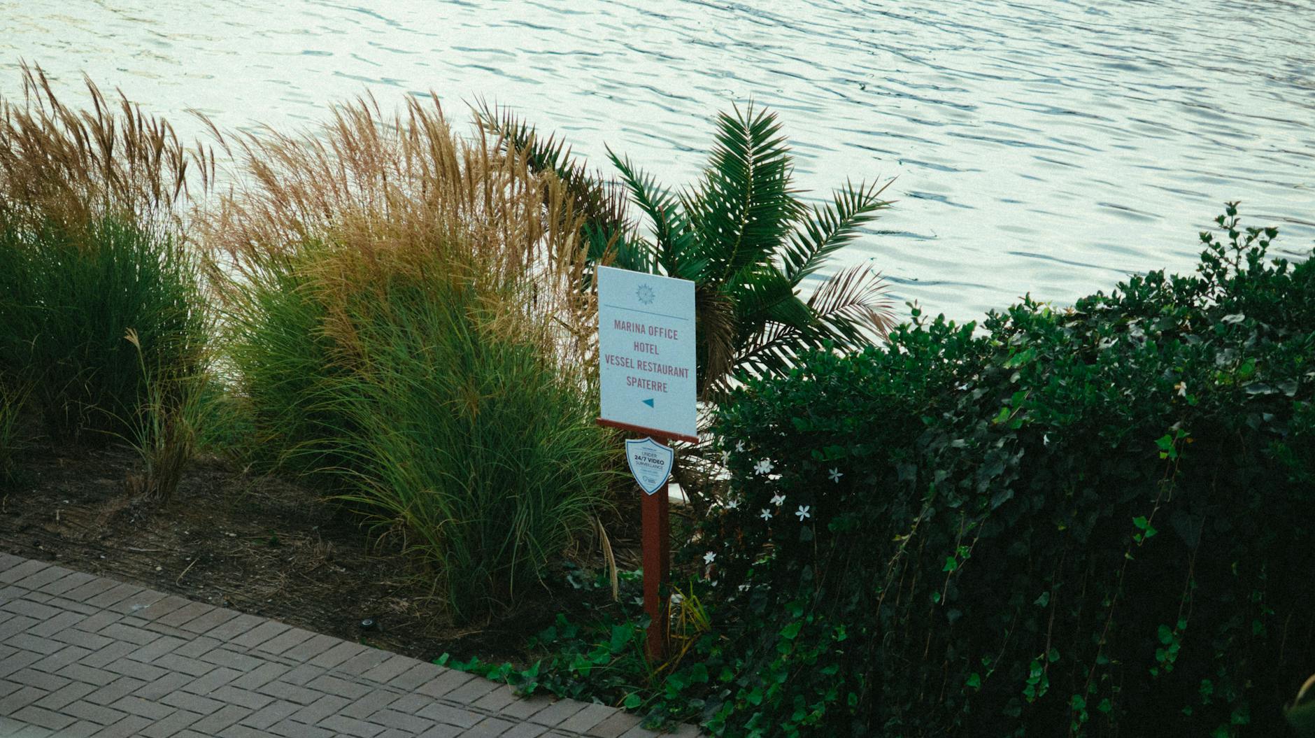 Ağva Hotels Contact Information