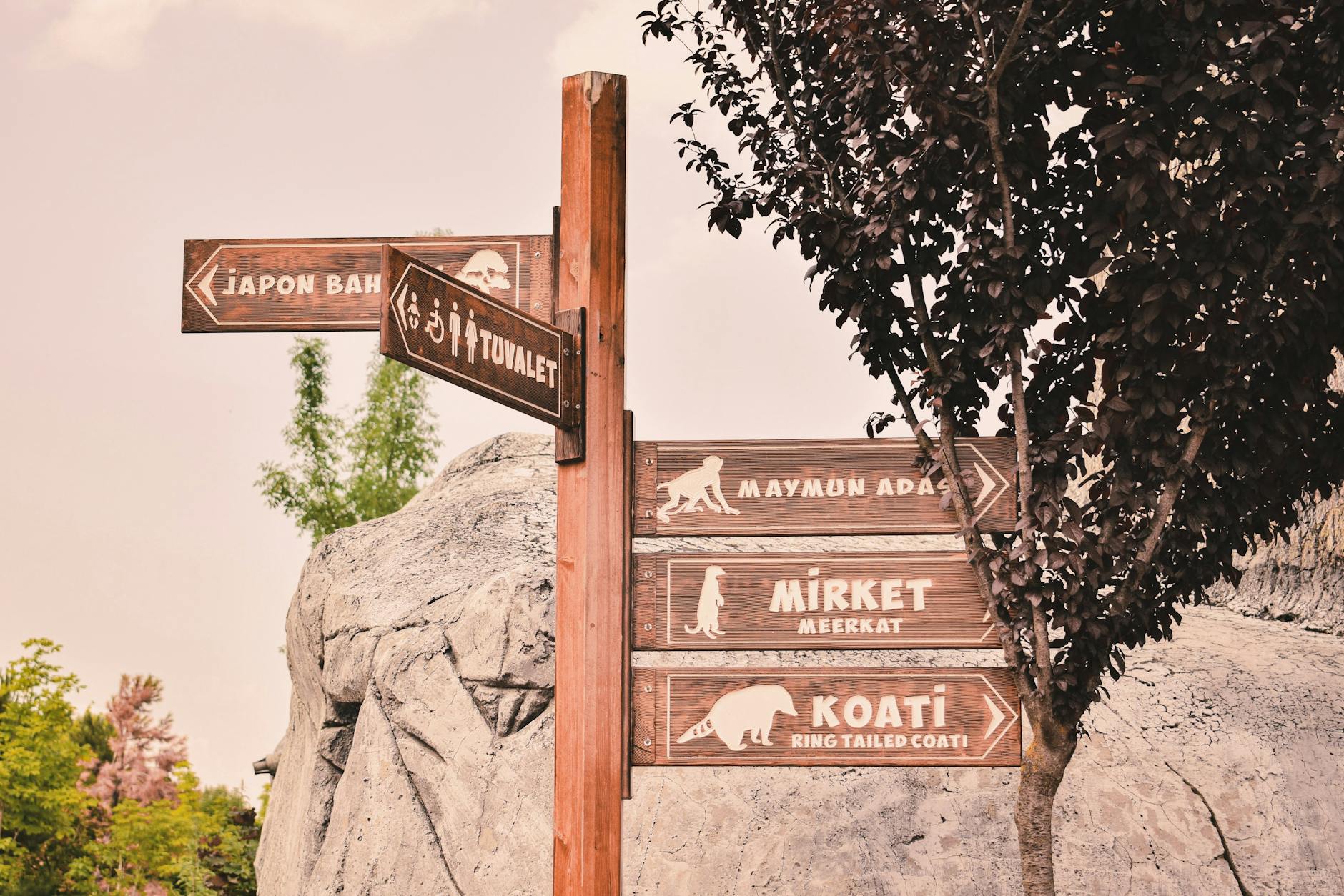Agva Travel Guide