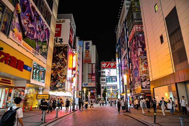 Akihabara, Tokyo: Best Value-for-Money Hotels