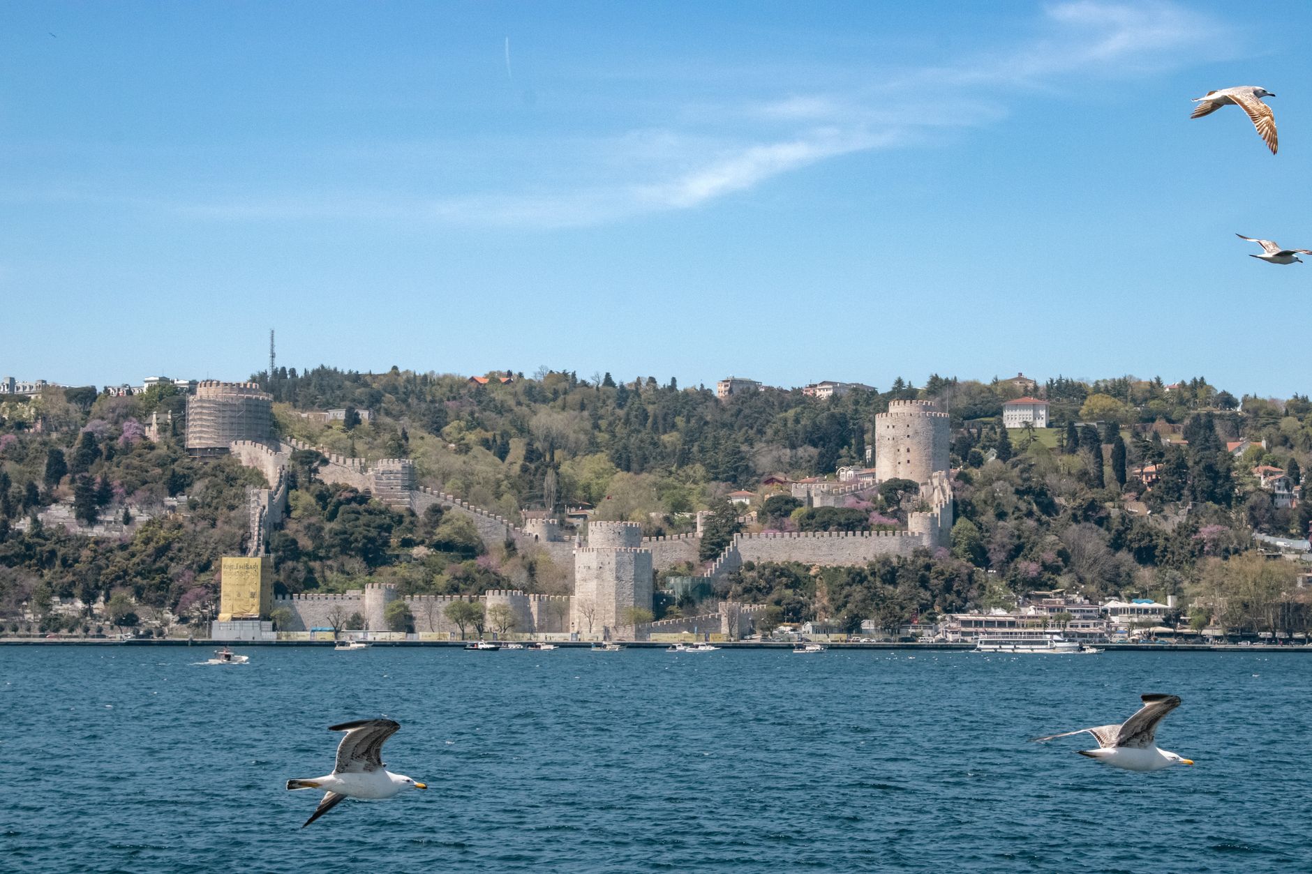 Anadolu Kavağı Travel Guide