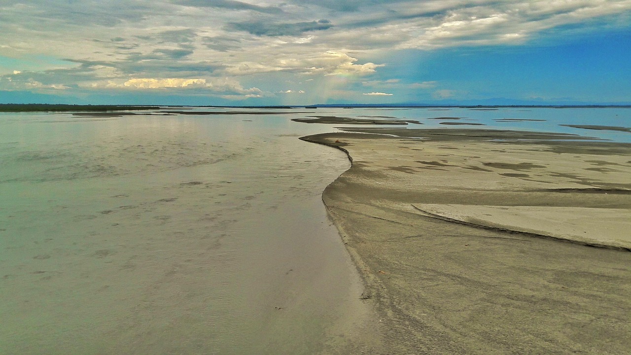 A wide riverine landscape in upper Assam
