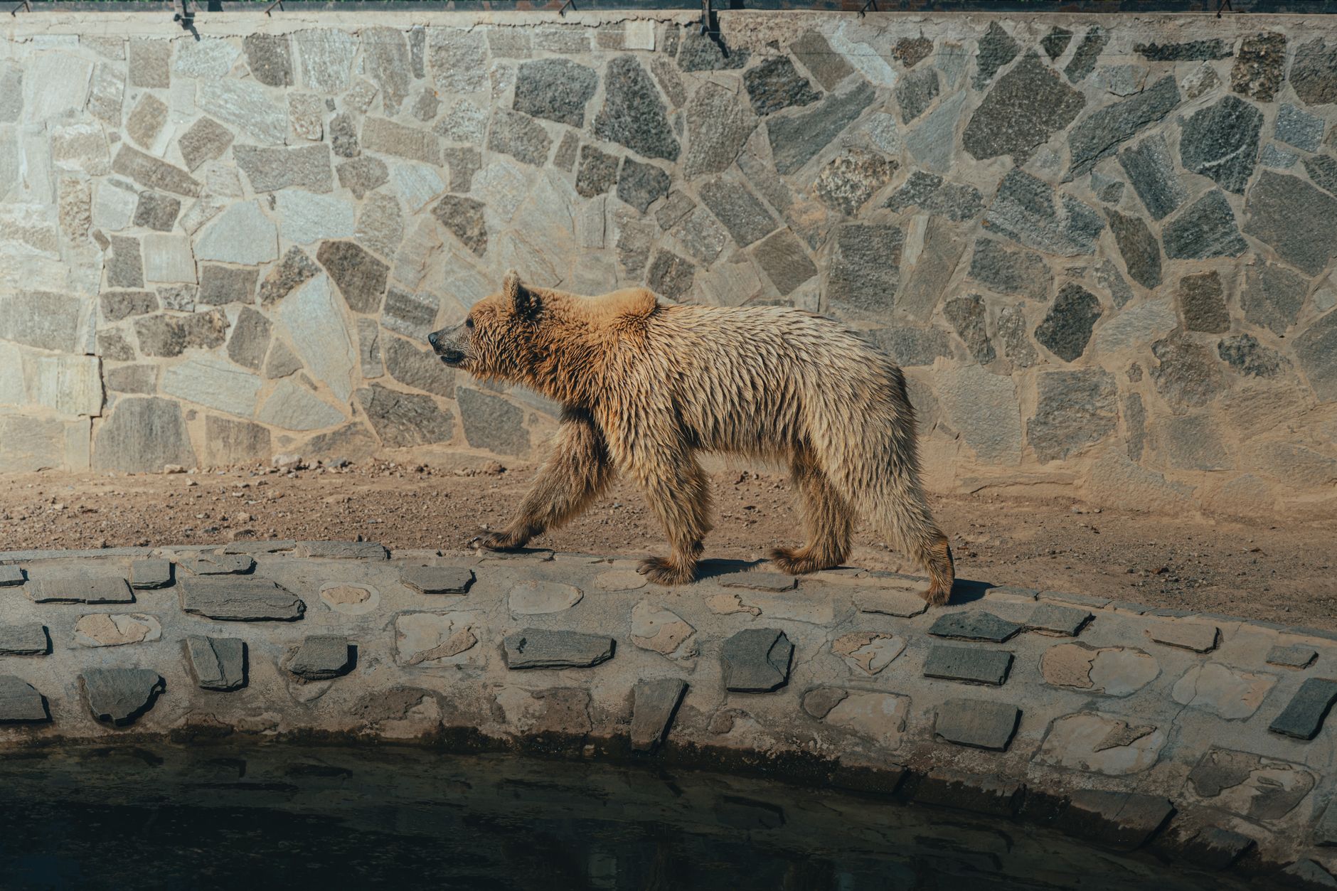 Bear Creek Pictures