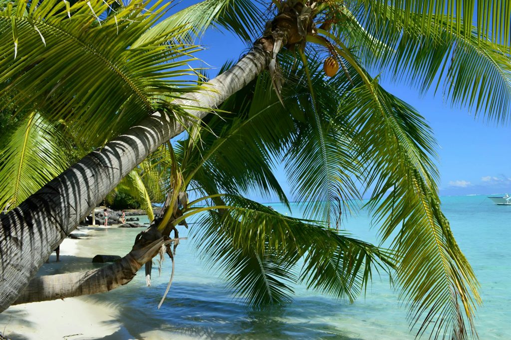 Bora Bora Island Travel Guide