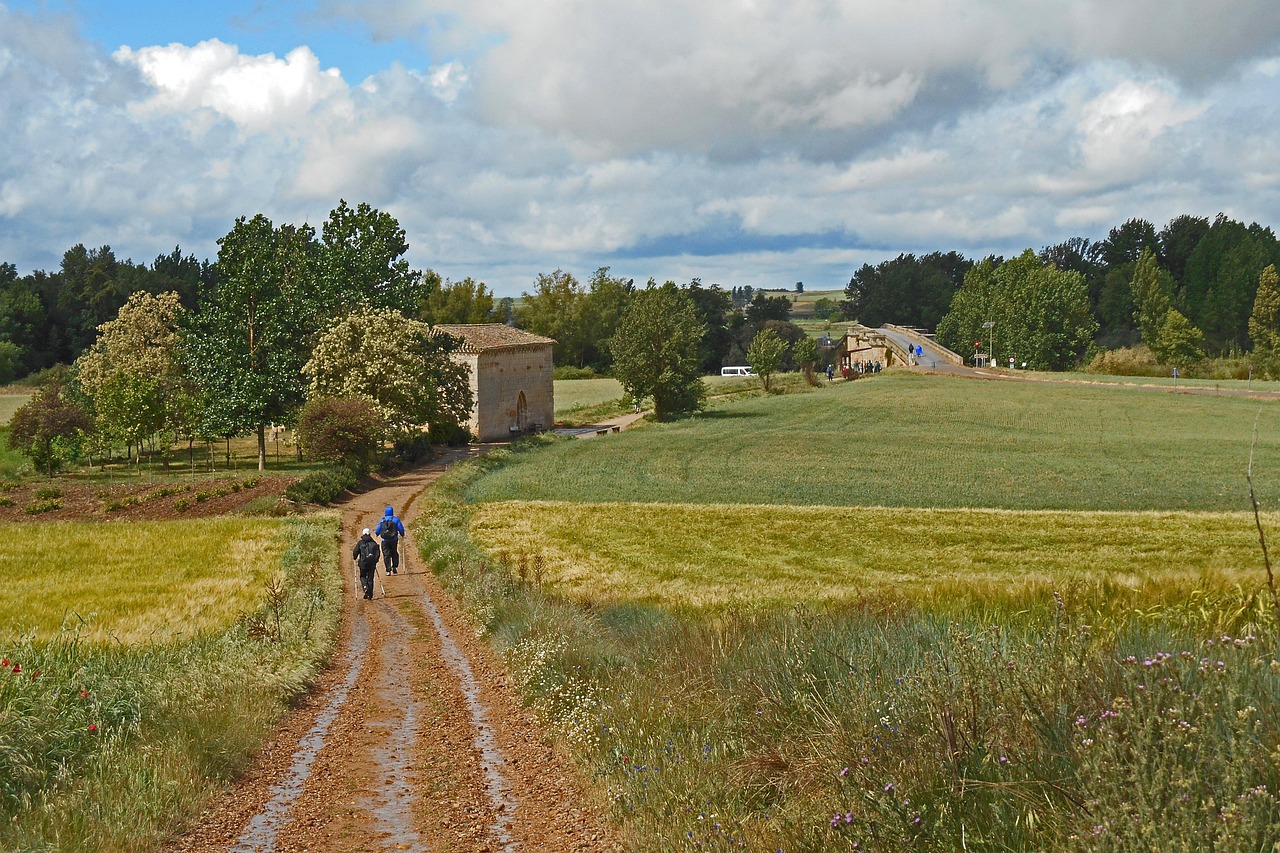 A path on the Camino de Santiago