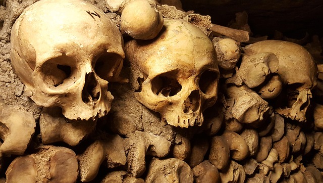 Bones lining the walls of the Paris Catacombs