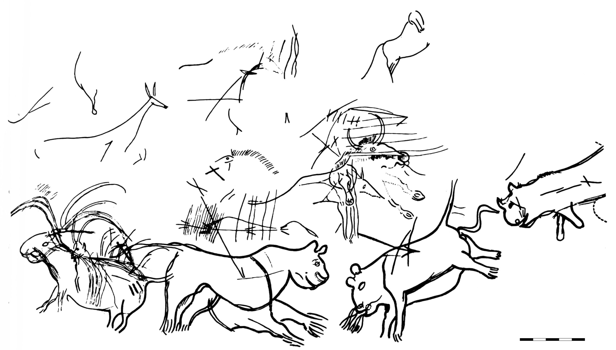 Big cats prowling across the rock at Lascaux. The painters often used the cave’s natural contours to give animals a sense of depth.