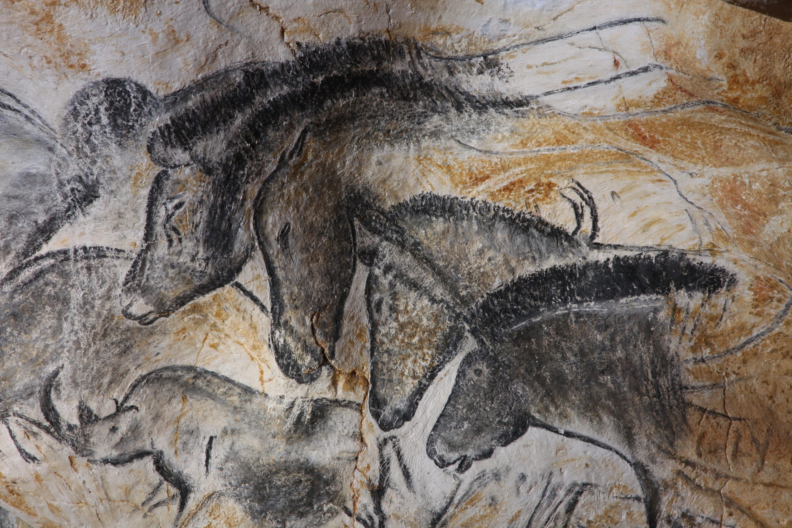 Horses painted in flowing detail. Prehistoric artists used natural pigments, shading, and the cave’s own contours to bring animals to life.