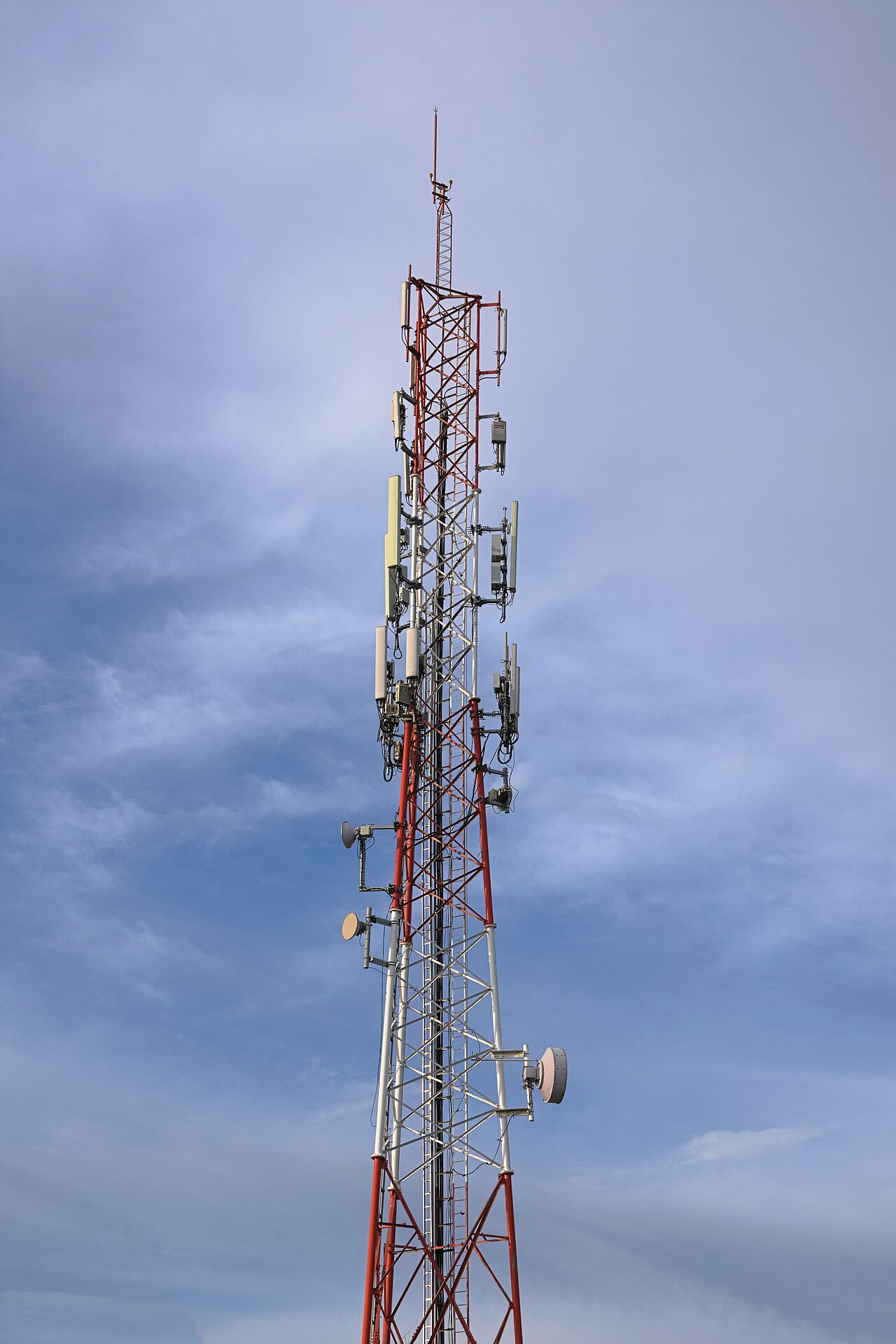 A mobile phone cell tower