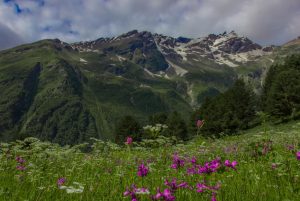 The Elbrus region of the North Caucasus, a landscape of high meadows and towering mountains.