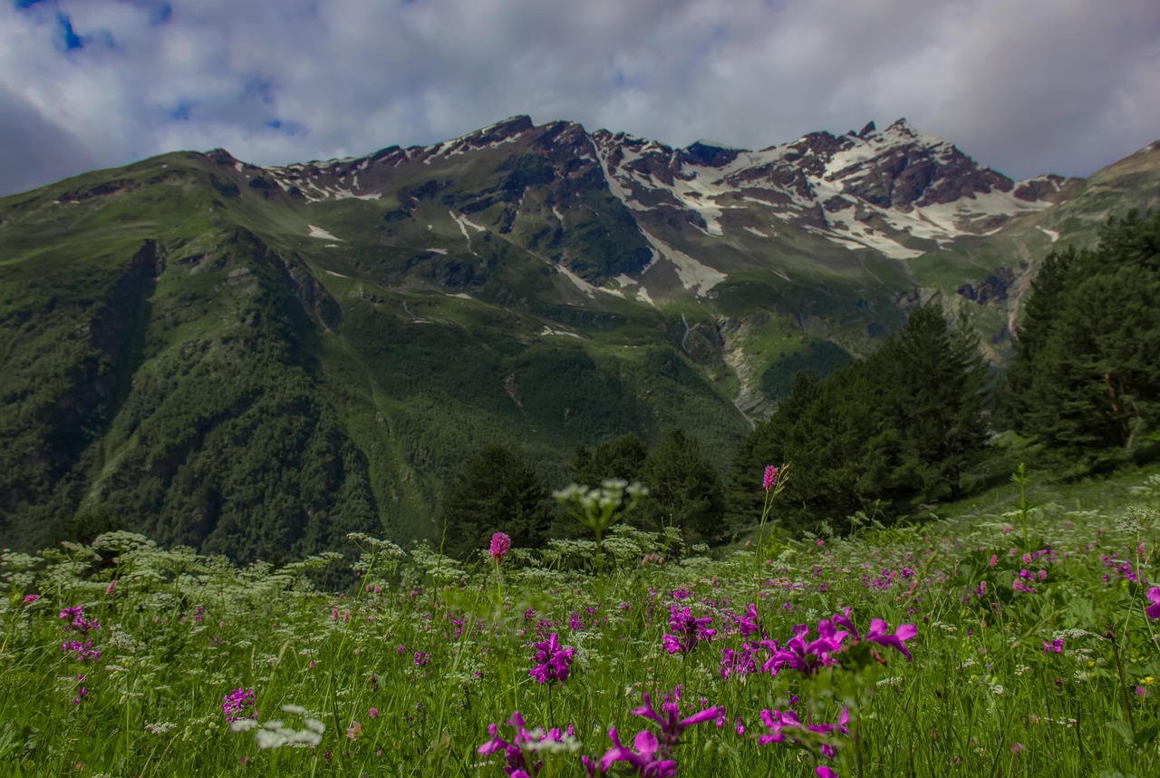 The Elbrus region of the North Caucasus, a landscape of high meadows and towering mountains.