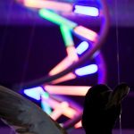 A DNA double helix