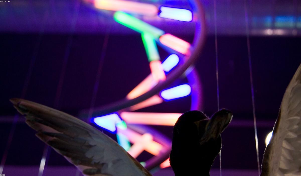A DNA double helix