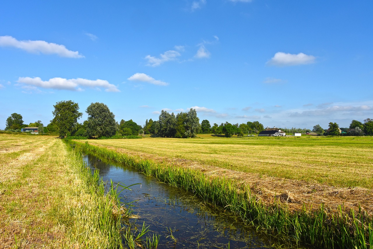 The flat, reclaimed polder landscape of the Dutch countryside, much of it below sea level