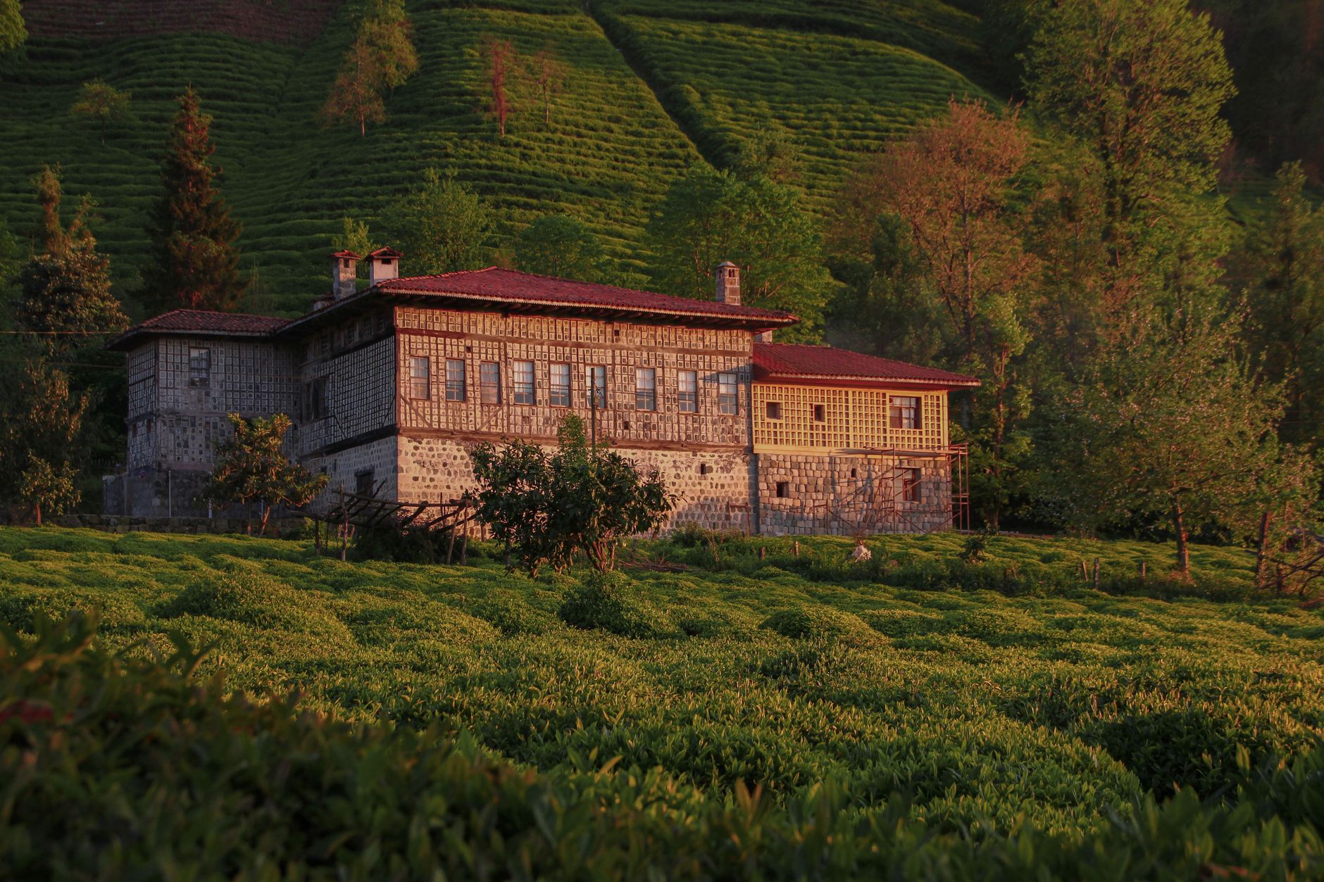 Fındıklı Village Travel Guide
