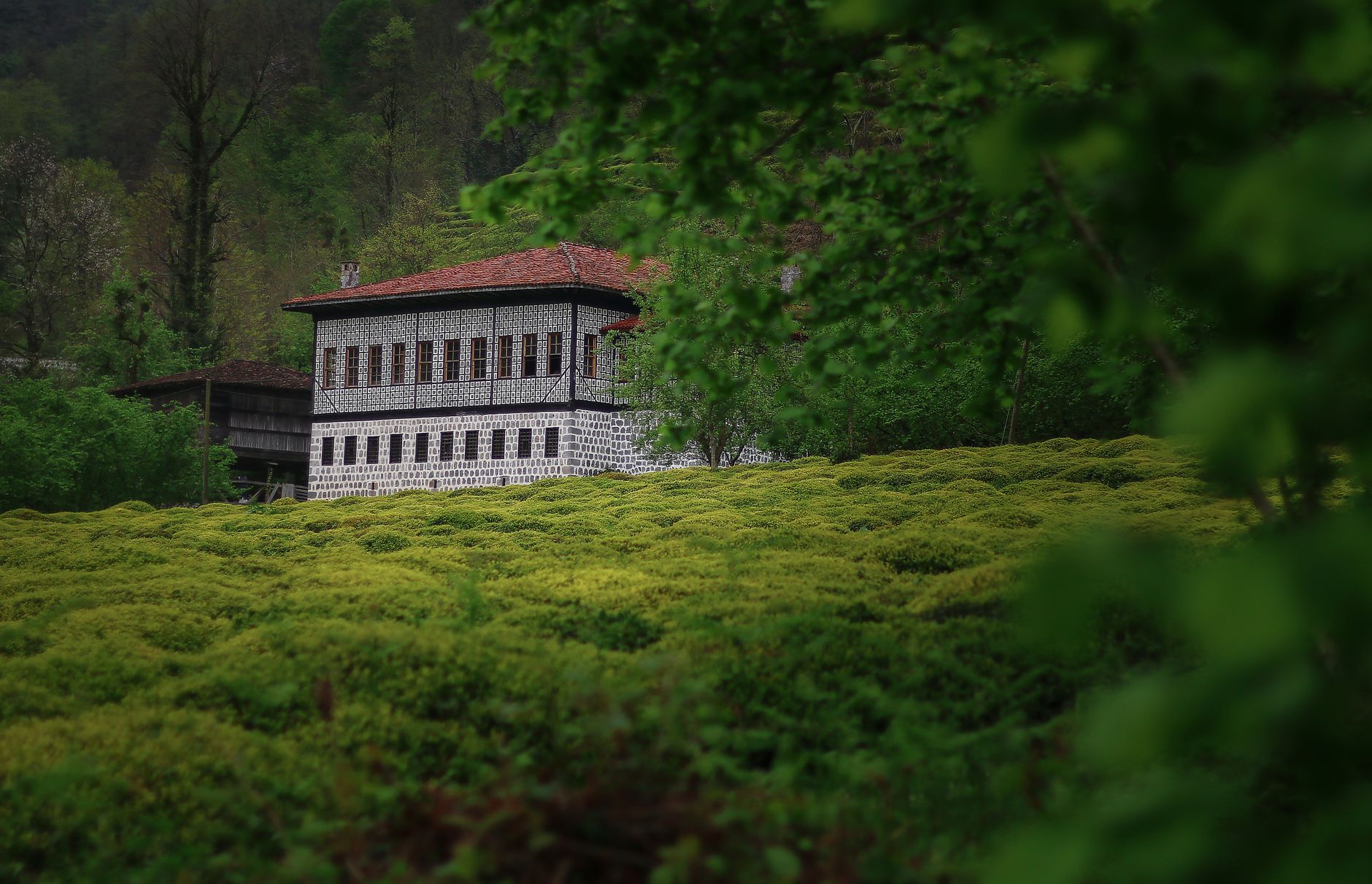 Fındıklı Village Travel Guide