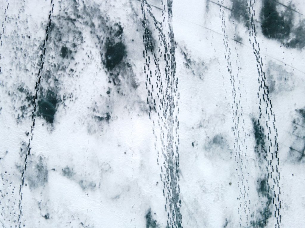 Footprints of Yakut Turks