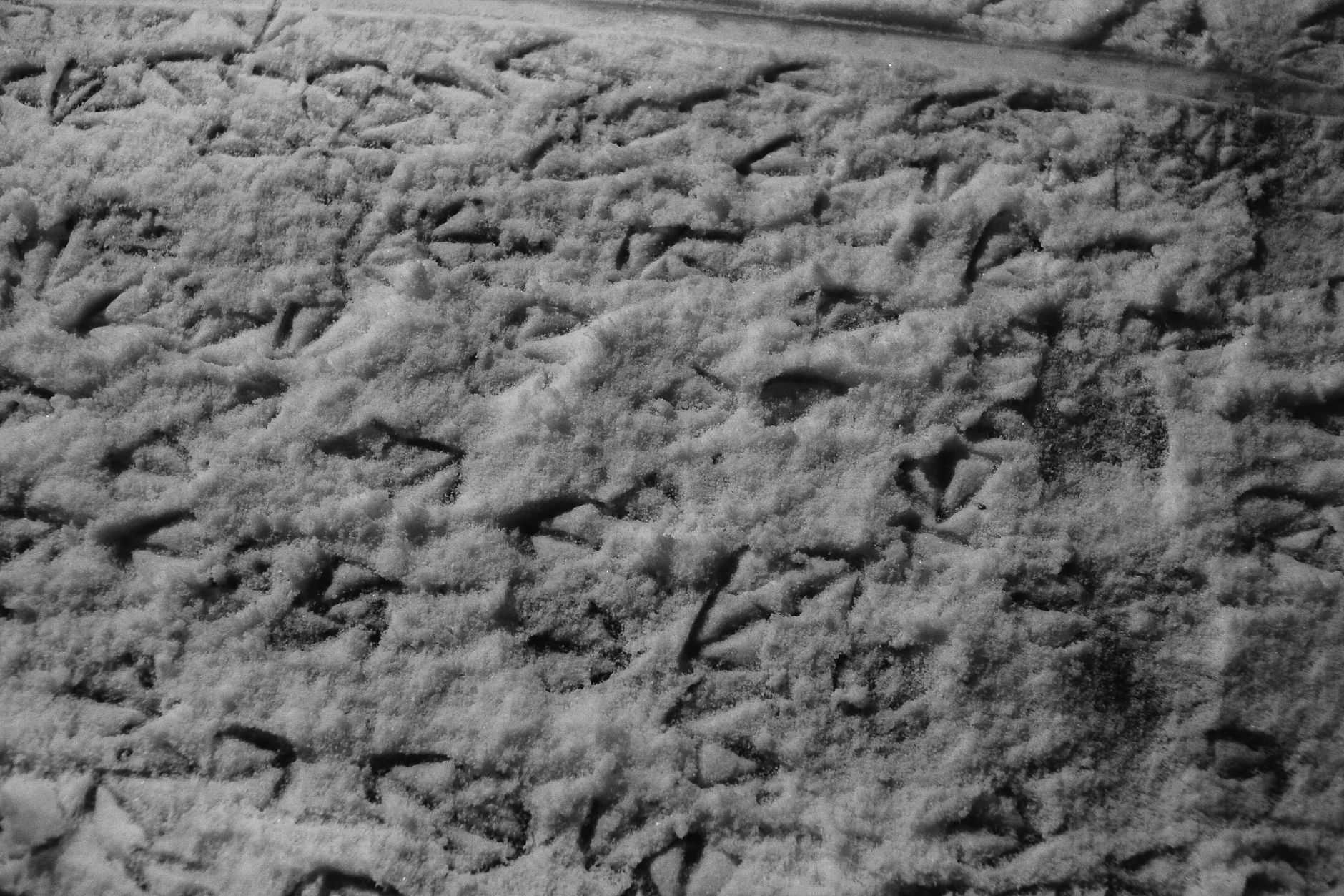 Footprints of Yakut Turks