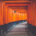 Vermilion torii gate tunnel at Fushimi Inari Taisha in Kyoto