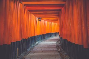 Vermilion torii gate tunnel at Fushimi Inari Taisha in Kyoto
