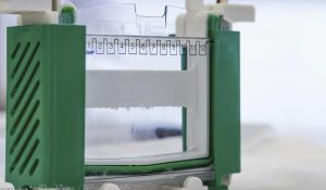 A genetics laboratory