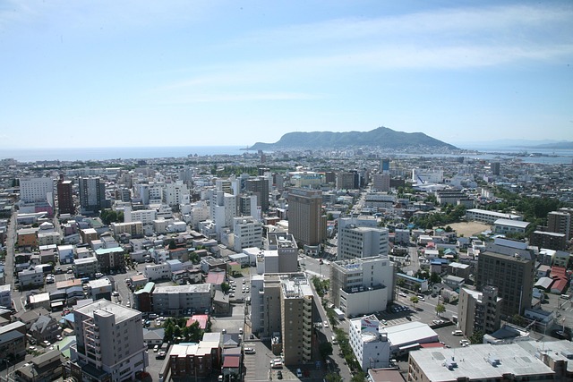 Hakodate city and bay