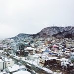Hakodate area view