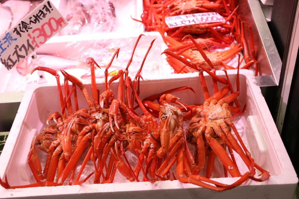 Hakodate Morning Market and Seafood
