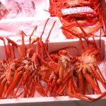 Hakodate crab seafood