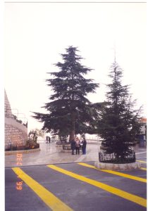 The sanctuary of Our Lady of Lebanon