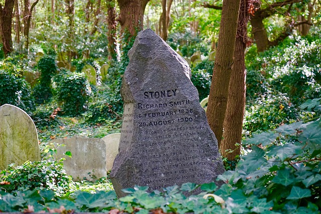 Ivy-clad Victorian graves