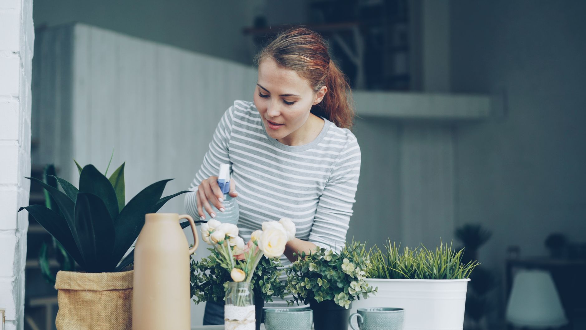 Home Plants to Improve Your Home