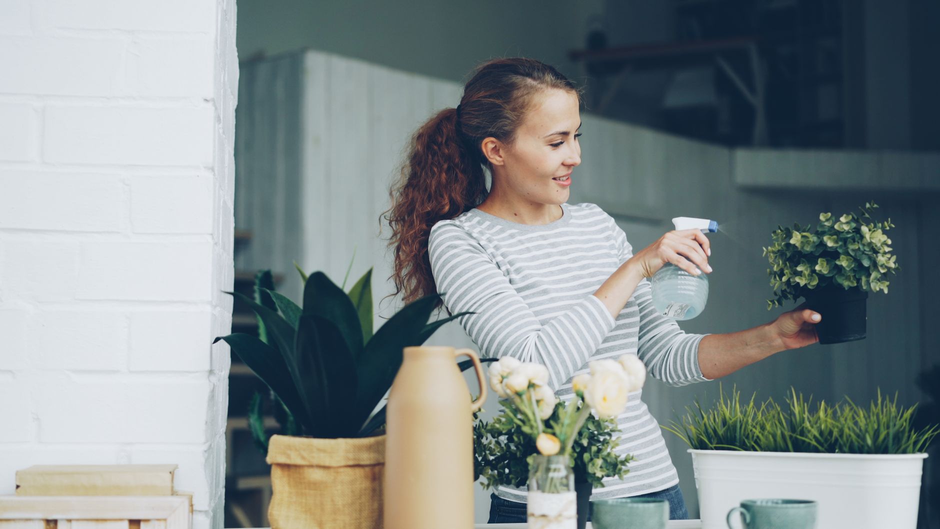 Home Plants to Improve Your Home
