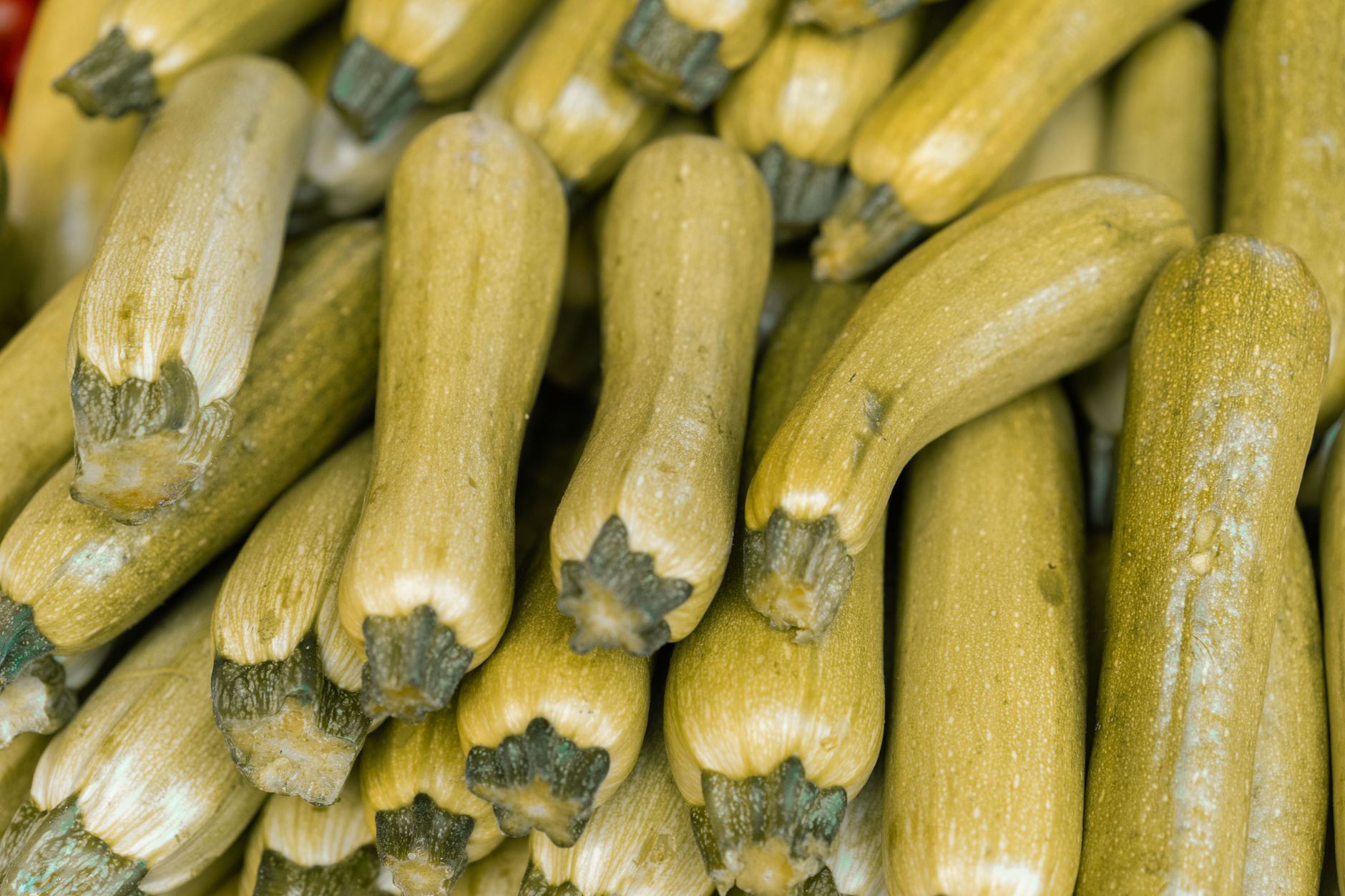 How to Make Sweet Zucchini
