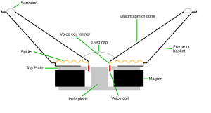 A cross-section of a speaker driver, the same design used in earbuds