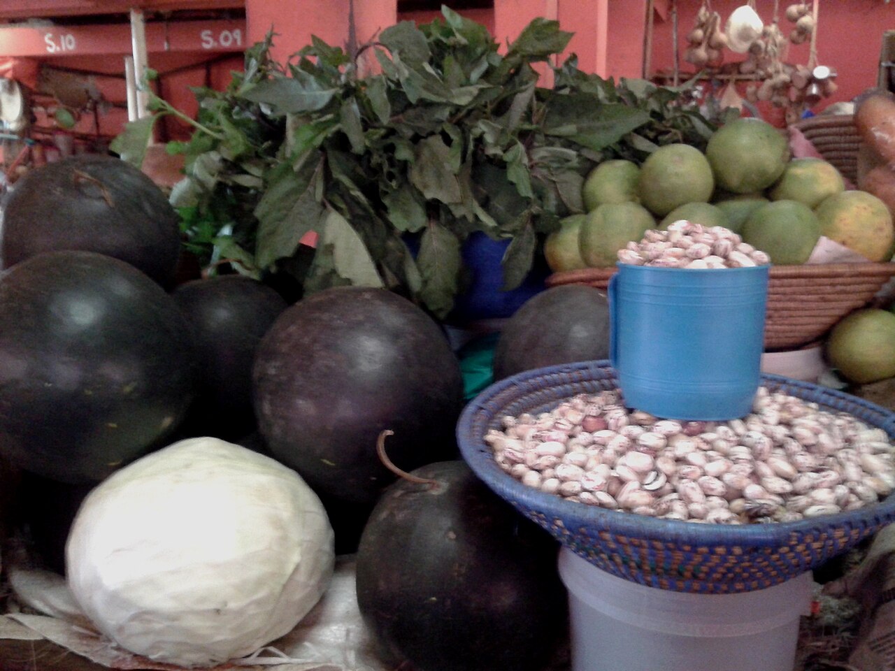 Fresh vegetables