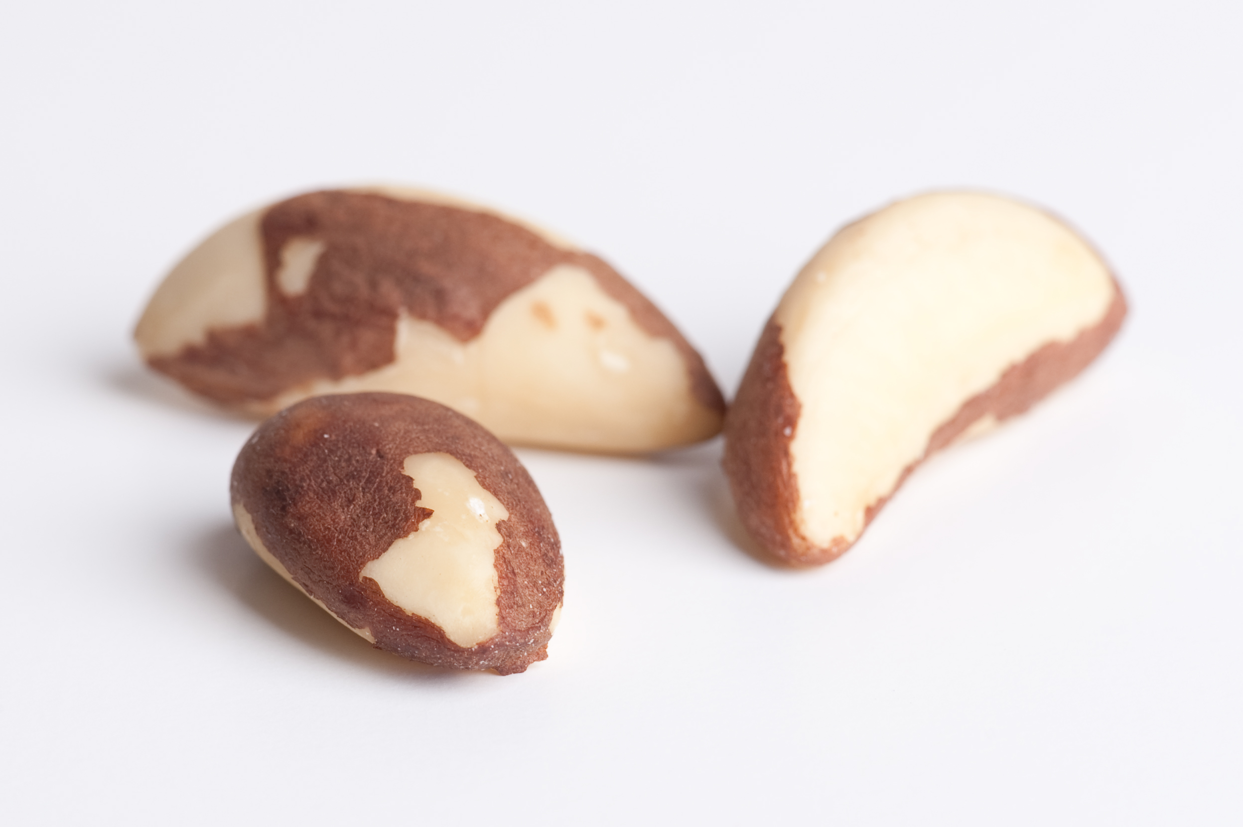 Brazil nuts, a notable source of selenium — Wikimedia Commons (CC BY-SA 3.0)
