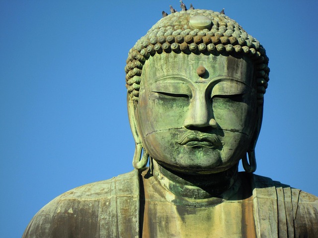 The Complete Kamakura Guide: All Our Travel Series