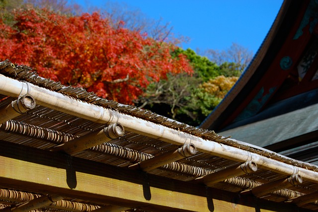 Tsurugaoka Hachimangu: Kamakura’s Great Shrine