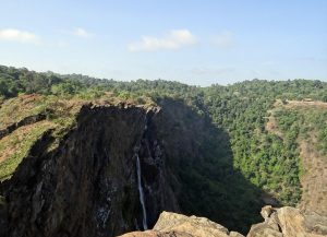 Jog Falls plunging through the Western Ghats of Karnataka