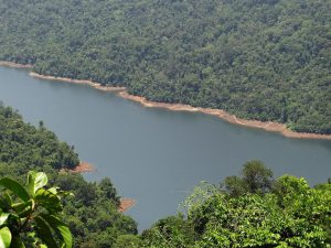 Mist-covered ridges of the Western Ghats in Karnataka