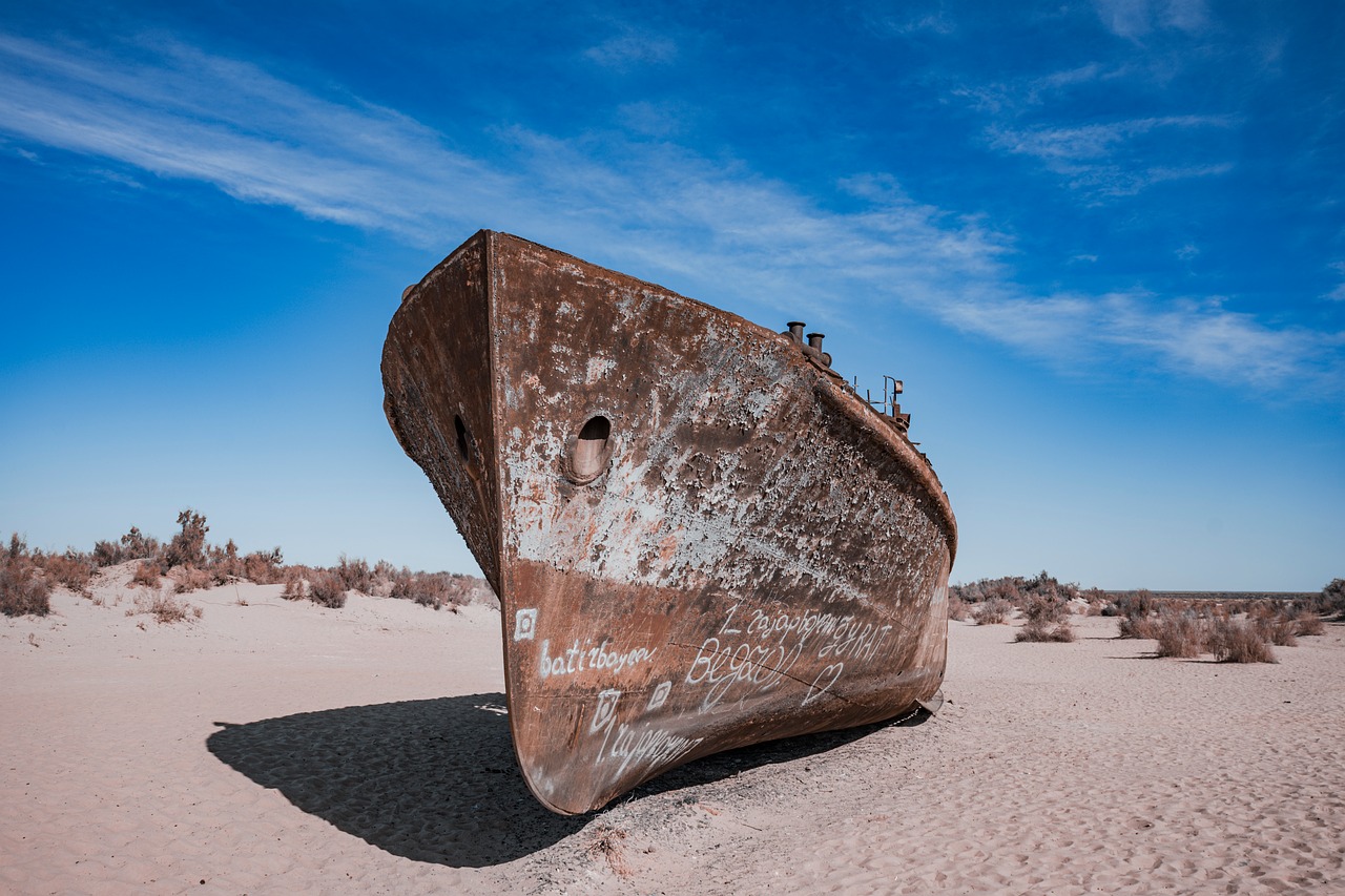 Aral Sea landscape
